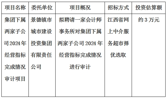 集團下屬兩家子公司2024年經(jīng)營指標(biāo)完成情況審計項目計劃公告